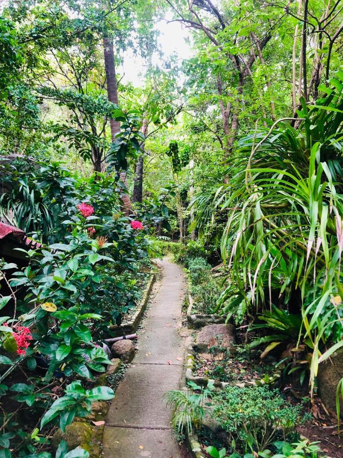Bambu Huts Hotel Baan Tai Bagian luar foto