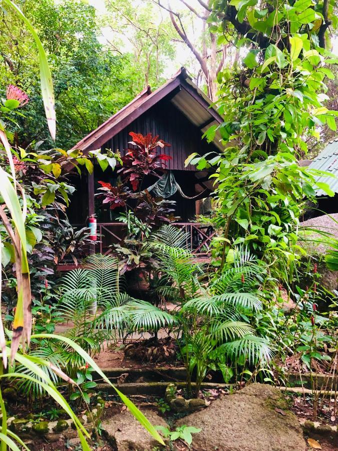 Bambu Huts Hotel Baan Tai Bagian luar foto