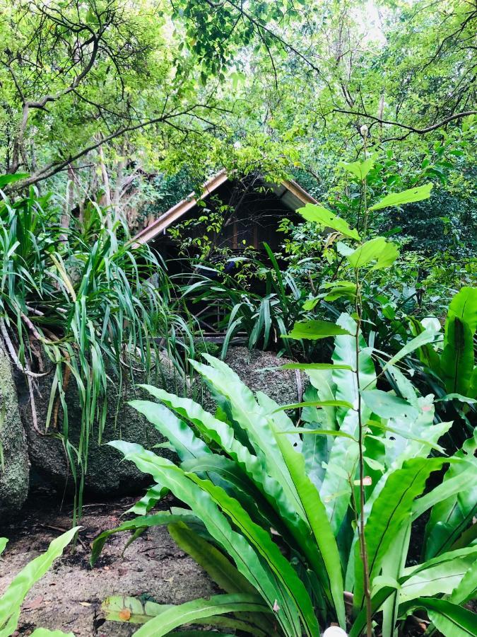 Bambu Huts Hotel Baan Tai Bagian luar foto
