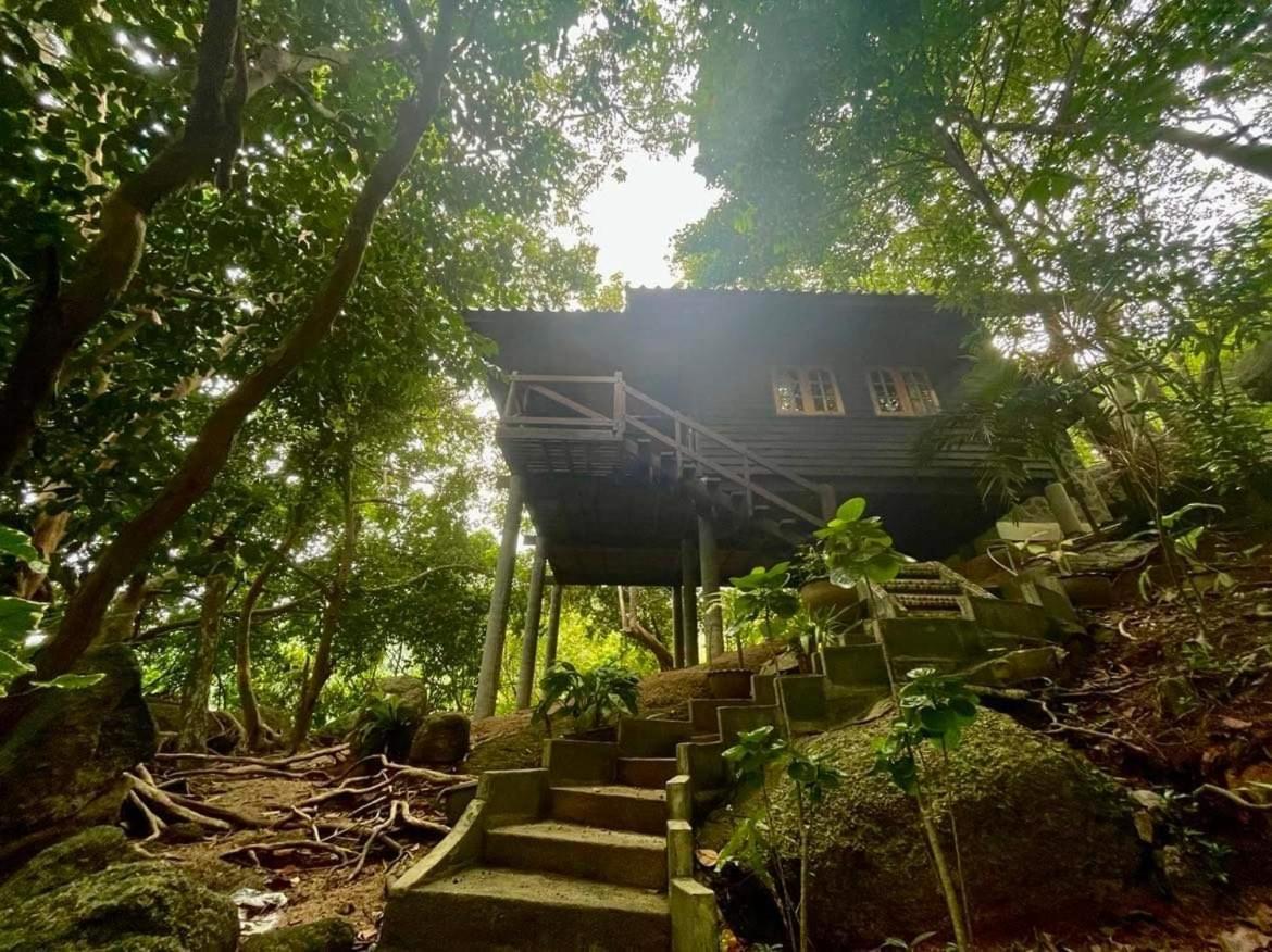 Bambu Huts Hotel Baan Tai Bagian luar foto